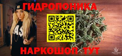 сатива Краснодар