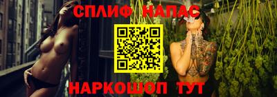 сатива Краснодар