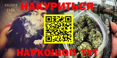 сатива Краснодар