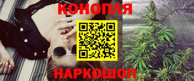 сатива Краснодар