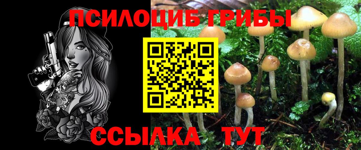 Галлюциногенные грибы ЛСД  Вход с VPN  Кинель  Галлюциногенные грибы ЛСД 